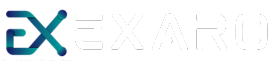 Exaro Moving Business